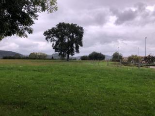 Fondo rustico in Nueva Ciudad