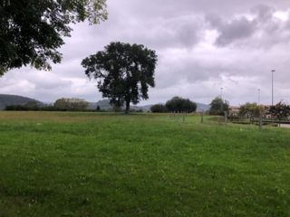 Fondo rustico in Nueva Ciudad