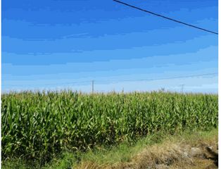 Finca rústica a Valdés