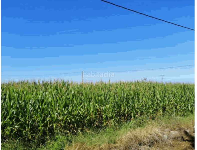 Foto eab92359-e651-41f5-9a7e-d71dfd26ad4d. Finca rústica a Valdés