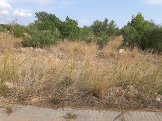 Rural plot in Vandellòs i l´Hospitalet de l´Infant