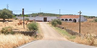 Rural plot in Olivenza