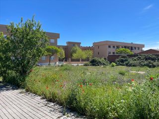 Rural plot in Rollo - Puente Ladrillo