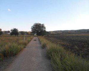Fondo rustico in Reyes Católicos - Paseo de San Antonio