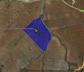 Rural plot in La Pinilla - Las Palas