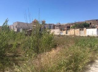 Finca rústica a Sant Mateu