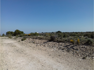 Finca rústica a Muela (La)