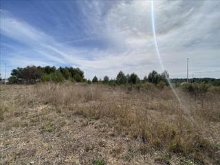 Rural plot in Cheste
