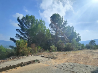 Finca rústica a Ador