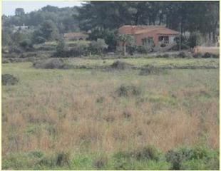 Finca rústica a Partida Comunes-Adsubia