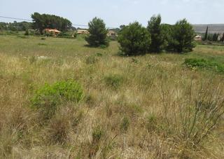Finca rústica a Partida Comunes-Adsubia
