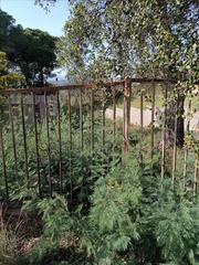 Rural plot in Mas Mora-Sant Daniel