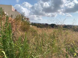Rural plot in Llevant