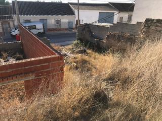 Fondo rustico in Pedro Martínez