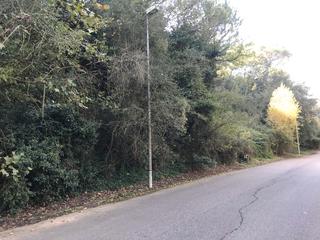 Propriété à Vallgorguina
