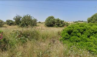 Rural plot in Alcácer