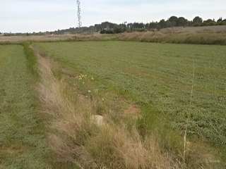 Rural plot in Residencial Park