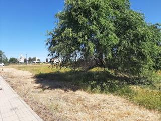 Finca rústica a Azuaga