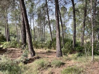 Landgut in Bicorp