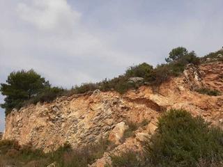 Fondo rustico in Borriol