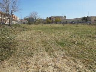 Fondo rustico in Carcaixent