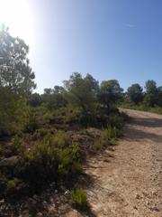Finca rústica a Tulell