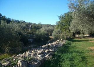 Finca rústica a San Rafael del Río