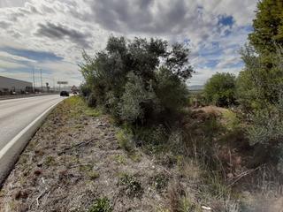 Propriété à Sant Joan de Moró