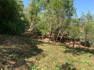 Rural plot in Montbarbat