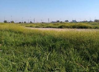 Fondo rustico in Tulell
