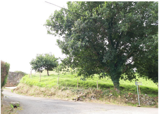 Fondo rustico in Barcenilla