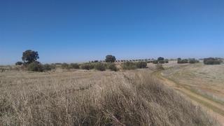 Rural plot in Valdeaveruelo