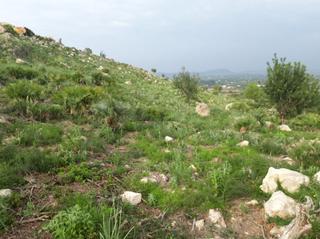 Landgut in Pego