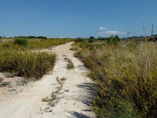 Fondo rustico in Vallada