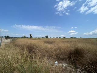 Finca rústica a Benimuslem