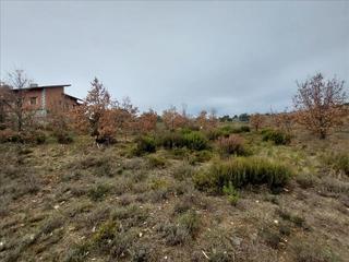Propriété à Garrafe de Torío