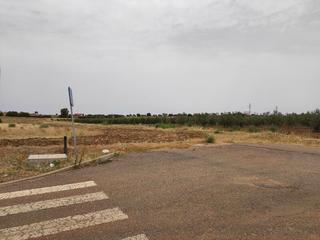 Rural plot in Calamonte