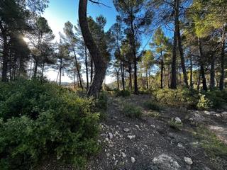 Finca rústica a Utiel