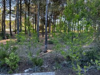 Finca rústica a Utiel