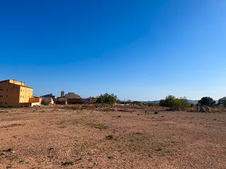 Rural plot in Sant Jaume dels Domenys