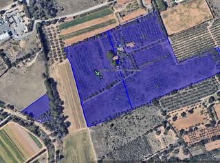 Rural plot in Cambrils Port