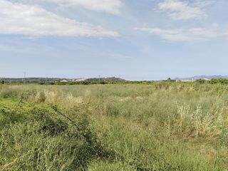 Finca rústica a Cárcer