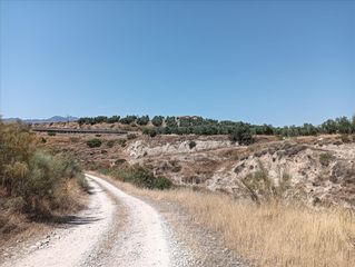 Rural plot in Jódar