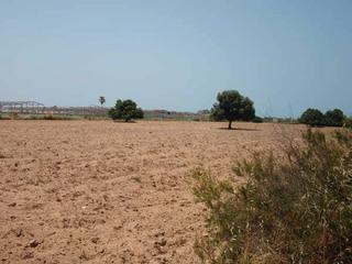 Finca rústica a Íllar
