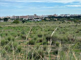 Finca rústica a La Motilla - Fuente del Rey