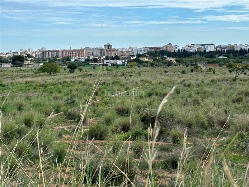 Foto c90b61fd-5386-4403-becc-7545f2d3cae2. Finca rústica a La Motilla - Fuente del Rey Dos Hermanas