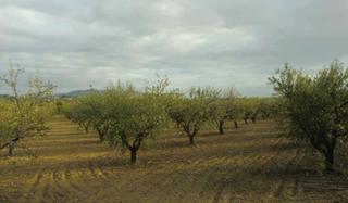 Fondo rustico in Piles