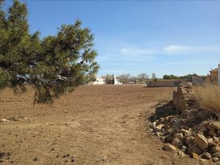 Rural plot in Nuevo Aranjuez-Ciudad de las Artes