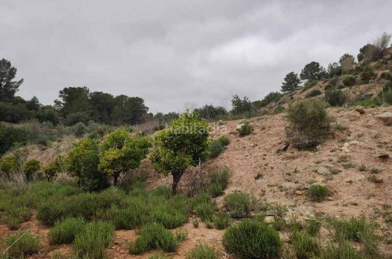 Foto 5a3afbb4-1a3e-473a-b368-20c624e9c38a. Finca rústica en Llosa de Ranes