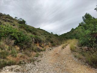 Rural plot in Ciudad Jardín Valderrey